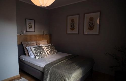 Ilawa Apartamento | 4jeziora - prywatny dostęp do rzeki, pomost, ogrodem, wiata grillowa, rowerek wodny, kajaki w cenie, parking, psiaki dozwolone