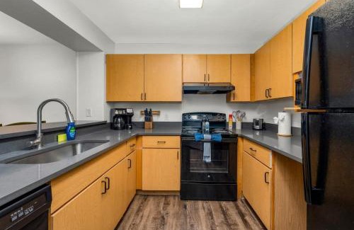 Bearss Plaza Apartamento | 5 MI to Busch Gardens + 2 MI to USF + Pool + Gym