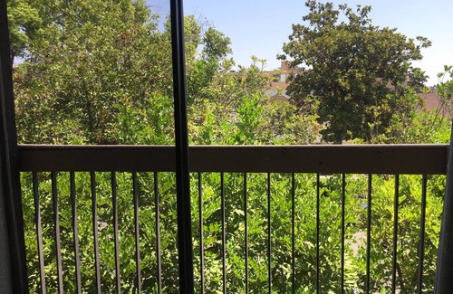 Downtown Apartamento | 5. Outstanding Apt 2-bd, 2Bath, Tree-top views