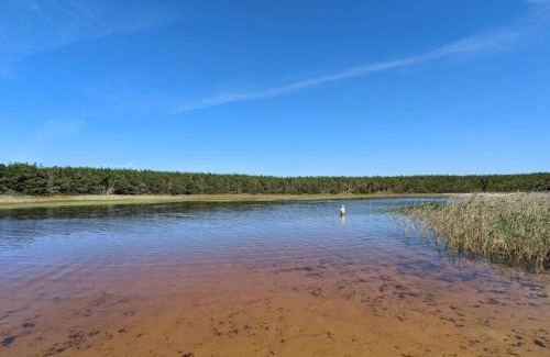 Vedersø Klit Casa | 5 person holiday home in Ulfborg-By Traum