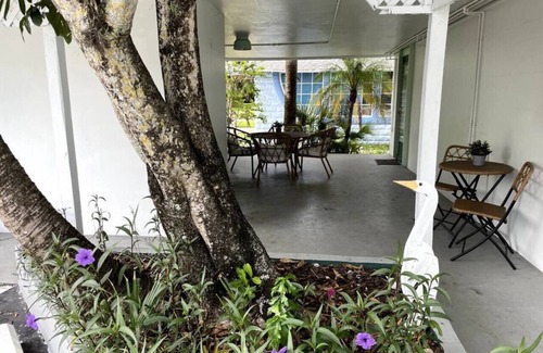 Dunedin Apartamento | 5 · Seaside Artisan Apartment *Dog Friendly* 5