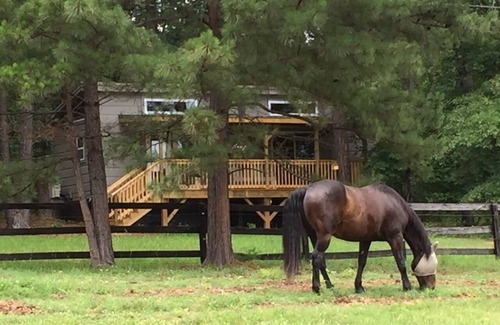 Columbus Cabina | 5 Star Cozy Cabin on Retreat-like Farm nr TIEC/Wineries
