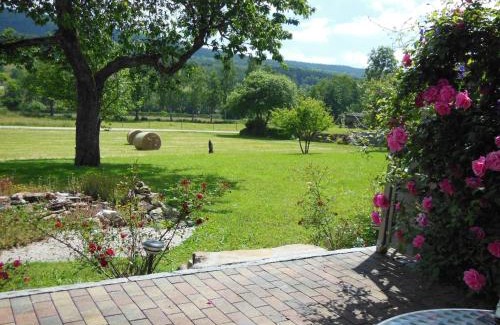 Allenbach Apartamento | 5-Sterne- Fewo "Juwel"