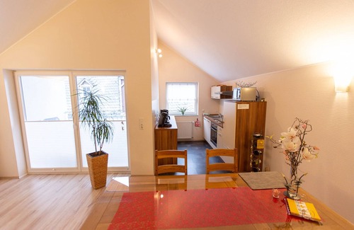 Piesport Condominio | 5***** vacation apartment! Vacation directly with the winemaker! Piesport on the Moselle