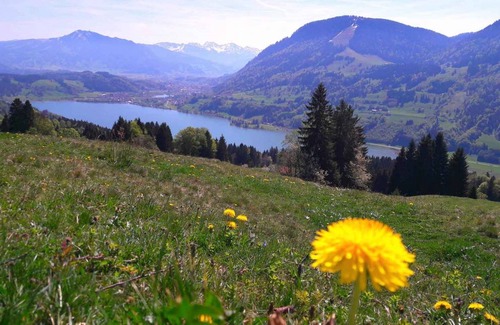Immenstadt im Allgaeu Apartamento | 50 m² Apartamento ∙ 2 habitaciones ∙ 4 huéspedes
