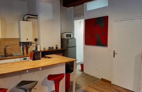 Les Cordeliers Apartamento | 50 m2 in Lyon's hypercentre-Place des Jacobins