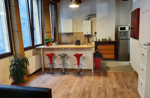 Les Cordeliers Apartamento | 50 m2 in Lyon's hypercentre-Place des Jacobins
