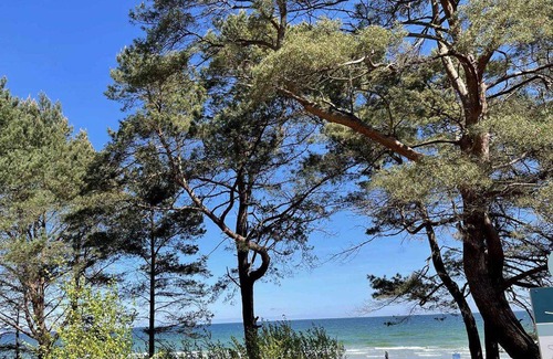 Binz Apartamento | 52 m² Apartamento ∙ 1 habitación ∙ 2 huéspedes