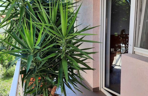 Siofok Apartamento | 52 m² Apartamento ∙ 2 habitaciones ∙ 4 huéspedes