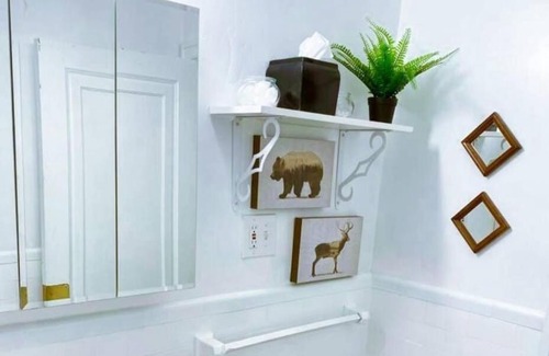 St. Louis Apartamento | (53.1S) Forest Park, The Zoo, and much more
