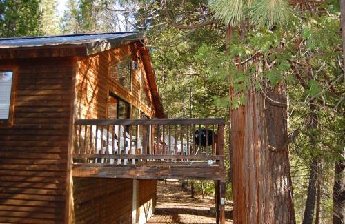 North Wawona Chalet De Esquí | 5N Edmond's Place