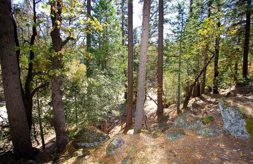 North Wawona Chalet De Esquí | 5N Edmond's Place