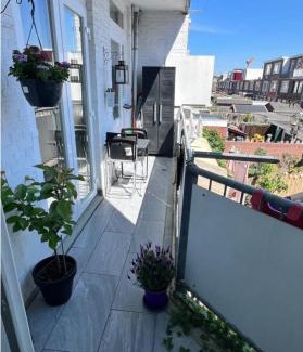 Scheveningen Casa | 5stars Room in a shared flat by the beach, the dunes and the harbor