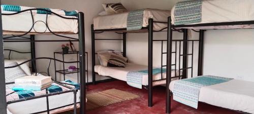 Silvania Casa | 5ta SARoCO Hacienda Biocultural y Agroecoturistica