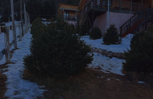 Chunkurchak Casa | 6-bedroom country house in beautiful Bishkek with AC, WiFi