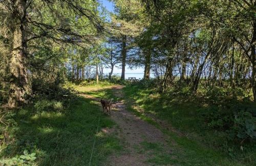Sønder Nissum Casa | 6 person holiday home in Ulfborg