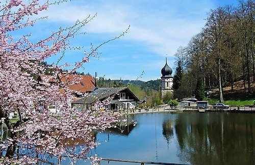 Triberg im Schwarzwald Apartamento | 65 m² Apartamento ∙ 2 habitaciones ∙ 4 huéspedes