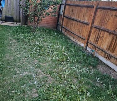 Dartford Casa | 66 Central Road