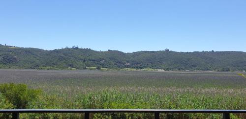 Wilderness Apartamento | 677 on Lake