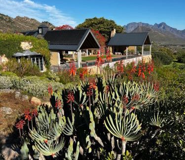 Franschhoek Cama Y Desayuno | 7 Koppies