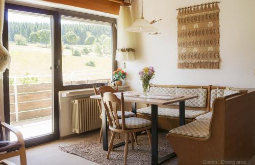 Schoenwald Apartamento | 71 square meters Condo in Schwarzwald with beautiful mountain view, free wifi