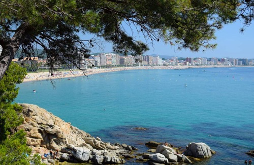 Sant Antoni de Calonge Apartamento | 75 m² Apartamento ∙ 3 habitaciones ∙ 6 huéspedes