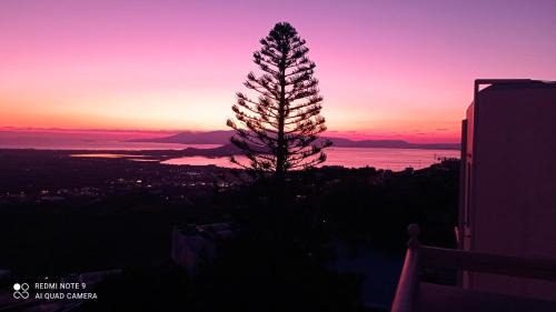 Naxos Town Casa | 7Days-Suite & SeaView