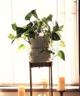 Hirakata Casa | 8-17 Nomura Motomachi - House/Vacation STAY 1894