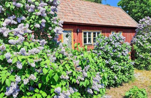 Vastergarn Casa | 8 person holiday home in GOTLANDS TOFTA