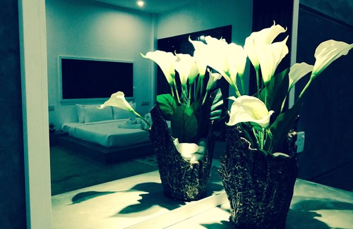 Kudapaduwa Hotel | 8 Plus Motels