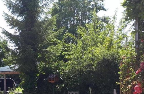 Stadtmitte Apartamento | 85sqm 2-room apartment "Pauluste" with quiet garden/ terrace and close to the city center