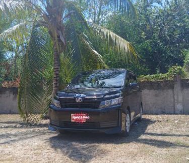Montego Bay Alquiler De Eote | 876Exec Tours and Private Transportation