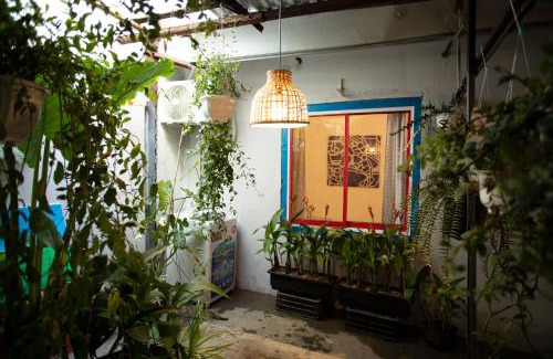 Hai Chau Casa | 88 ngày là tới HOUSE - 88 days to go HOUSE