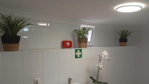 Penamacor Casa | 9, Cimo da Aldeia