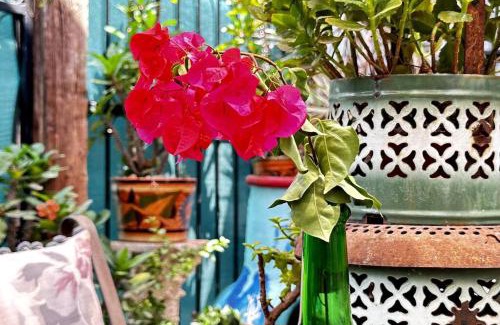 Guadalajara Casa | #9-Fast Wifi-Private Apto-Street Entry-Garden-CableTV