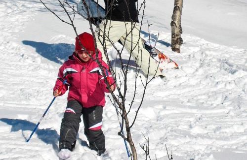 Lyngen Casa | 9 person holiday home in Lyngseidet