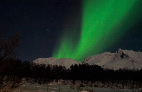 Lyngen Casa | 9 person holiday home in Lyngseidet
