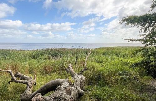 Togeholt Casa | 9 person holiday home in Præstø-By Traum