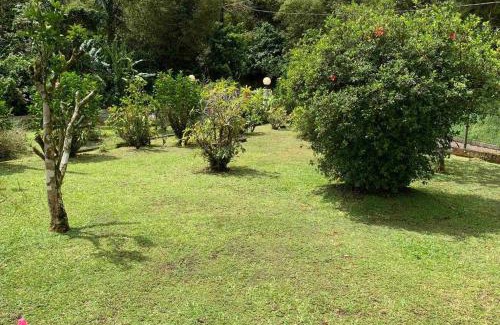 Le Morne-Rouge Casa | 972B-Coin de verdure au pied de la Montagne Pelée