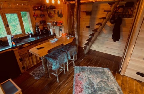Trabzon Casa | Ağacevkilat