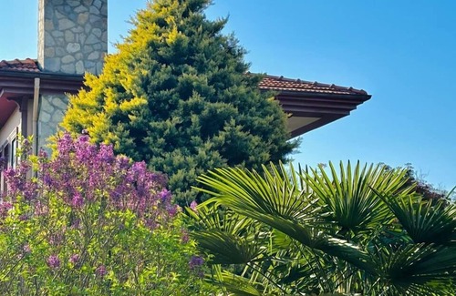 Agva Hotel | Ağva Saklı Bahçe Otel