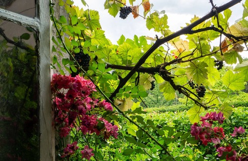 Saint-Sernin-du-Plain Casa | A 17th century luxury Manor