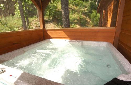 Caton Casa | A Bear's Eye View #251