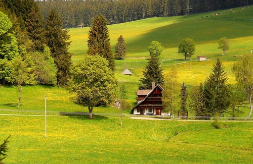 Schollach Condominio | A Black Forest vacation in pure nature.