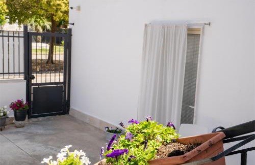 Mondragone Casa | A CASA DI FALCO 2