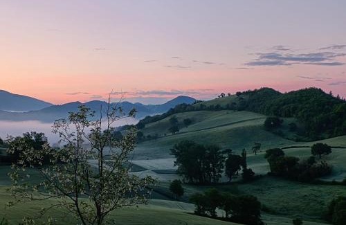 Urbino Apartamento | A casa di Matisse - appartamento vacanze