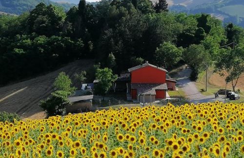 Urbino Apartamento | A casa di Matisse - appartamento vacanze