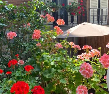 Marina Romea Apartamento | A casa di Rachele