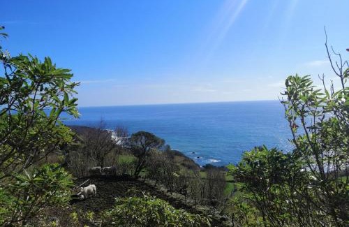 Lajes das Flores Casa | A casa do Tí Mendonça