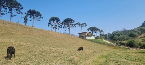 Cunha Casa | A Casa Verde de Cunha